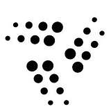 PACIFIC RIM INC. logo