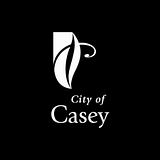 PATRICK CASEY AND CO LLP logo