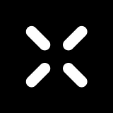 PAX INTERNATIONAL COMPANY INC logo