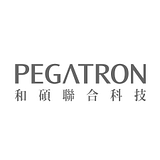 PEGATRON TECH SVC INC logo