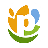 PepsiCo, Inc. logo