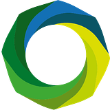 PINION SERVICES, INC. logo