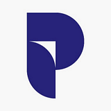 PIONEER CONSULTING SERVICES LLC logo