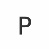 PIONEER CORPORATE SERVICES INC. logo
