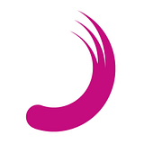 Planisware USA, Inc. logo
