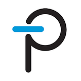 Power Integrations Inc. logo