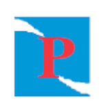 PREMIER IT SOLUTIONS, LLC logo