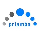 Priamba Soft LLC logo