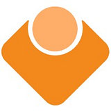 PRIMISOFT LLC logo
