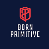 Primitive Partners LLC logo