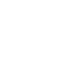PRINT-N-PLAY logo