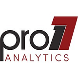 Pro17Analytics LLC logo