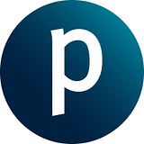PROTIVITI INC logo