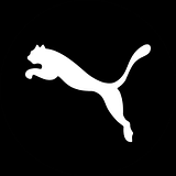PUMA SERVICES, INC DBA PUMA STEEL logo