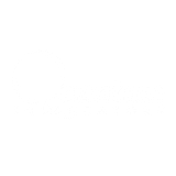 QUANTUM INTEGRATORS GROUP, LLC logo