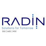 Radin Consulting, Inc. logo