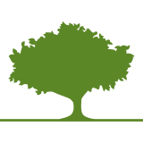 RAVIN IT SOLUTIONS INC logo