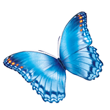 Research Institute at Nationwide Children's Hospital logo