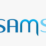 Risamsoft Inc. logo