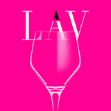 SALUS REHABILITATION LLC D/B/A LAV logo
