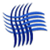 SATIN SOLUTIONS LLC logo