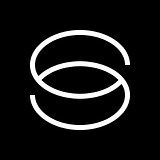 Savvy Data Solutions Inc logo