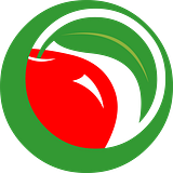 Seis, Inc. logo