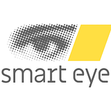 Smart Enovations Inc logo