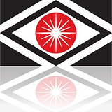 Softel Techsource LLC logo