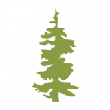 Southern Oregon Cardiology, LLC logo