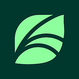 Spring Bilingual Montessori Academy Inc logo