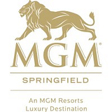 SPRINGFIELD SERVICE CORPORATION logo