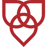 ST. PETERS HEALTH logo