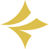 Starcom Mediavest Group, Inc. logo