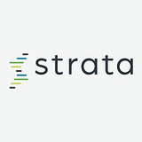 STRATA SOLUTIONS INC., logo