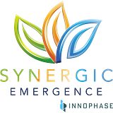 SYNERGIC SOLUTIONS INC logo