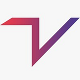 TeamsVise LLC logo