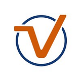 TechVirtue, LLC logo