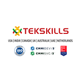 TEKSKILLS INC logo