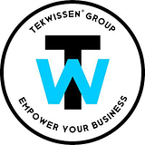 TEKWISSEN LLC logo
