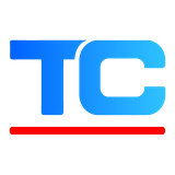TEMP SOLUTIONS INC logo