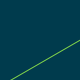 Terrell and Terrell CPAs LLP logo
