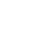 TEXAS MOBILE PCS LLC logo