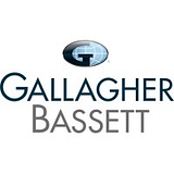 THE MARY IMOGENE BASSETT HOSPITAL DBA BASSETT HE logo