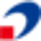 TONGFANG GLOBAL INC. logo