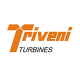 TRIVENI GROUP LLP D/B/A TRIVENI IT logo