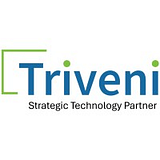 TRIVENI IT logo