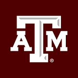 TX A&M INTL UNIV PART OF TX A&M UN logo