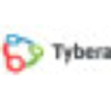 Tybera Development Group, Inc. logo