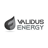 VALIDUS TECHNOLOGIES LLC logo